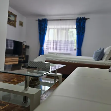 Eldi House Apartment Fagaras Exterior photo